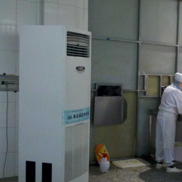 泉州食品正负离子空气杀菌器